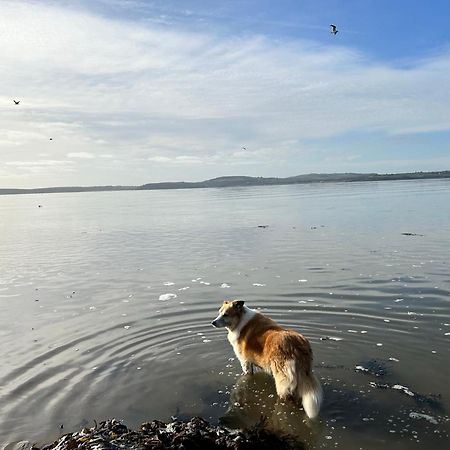 Ramsgrange Tobernaglough Wexford Pet Friendly Country B&B المظهر الخارجي الصورة