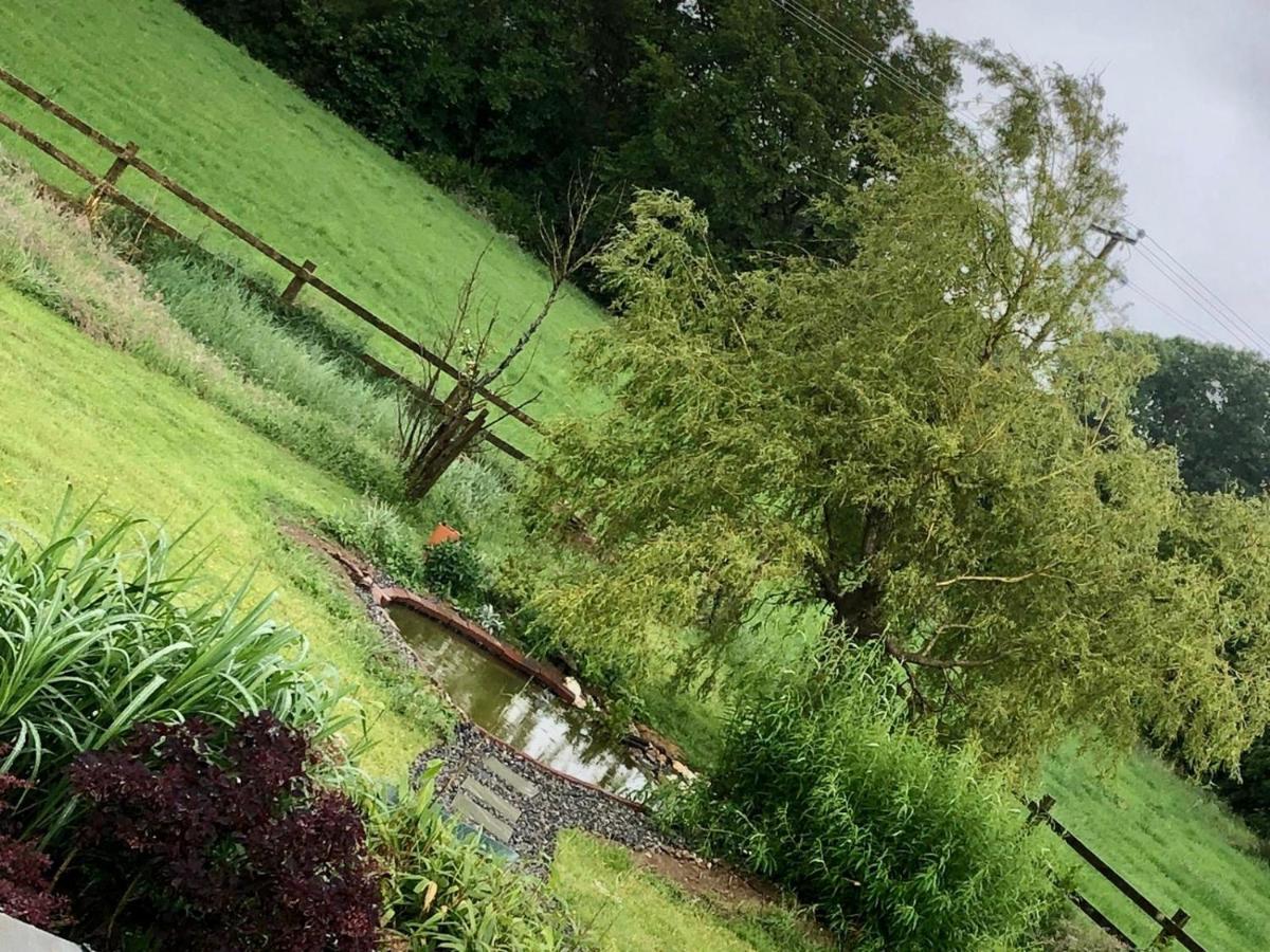 Ramsgrange Tobernaglough Wexford Pet Friendly Country B&B المظهر الخارجي الصورة
