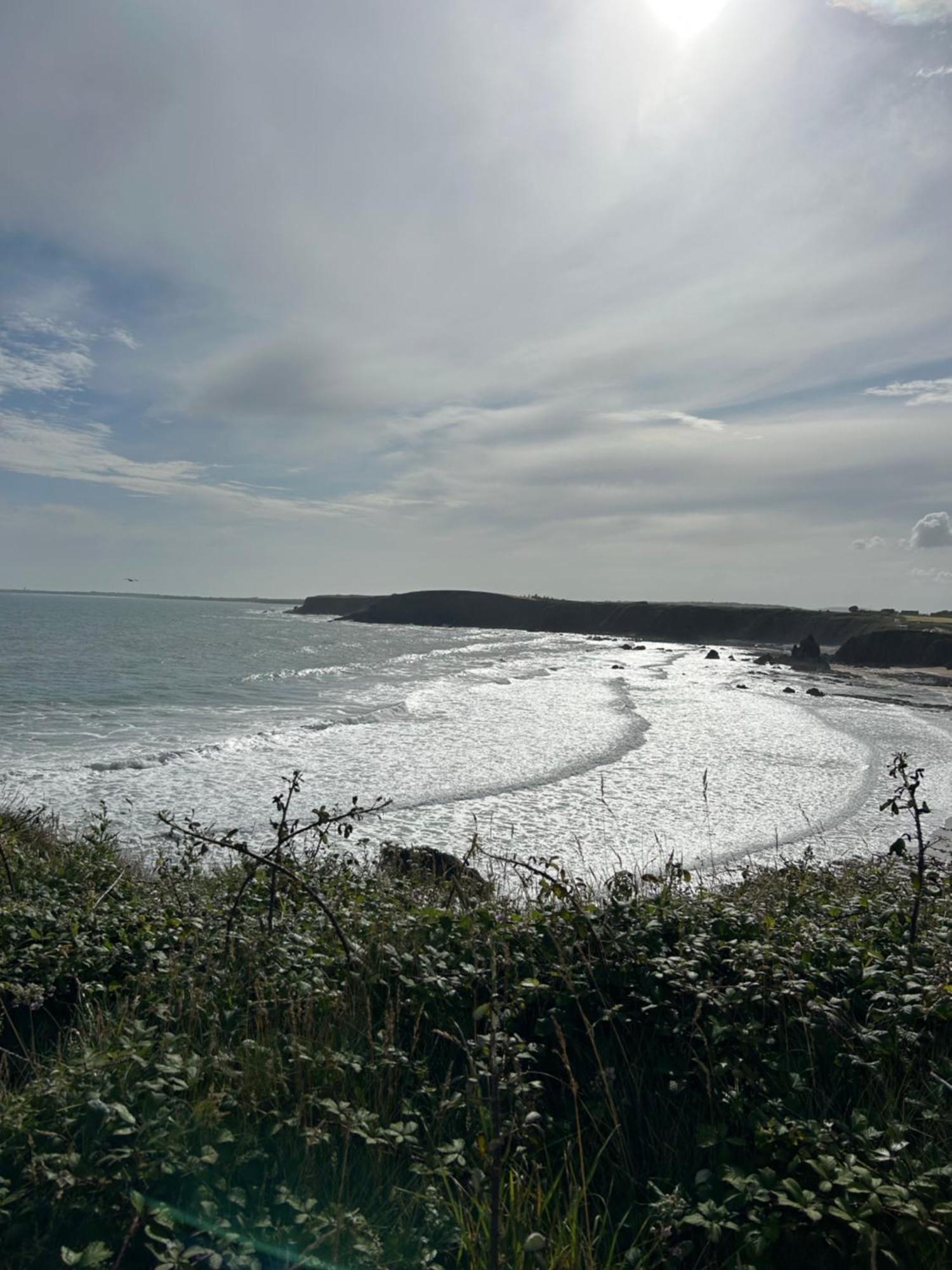 Ramsgrange Tobernaglough Wexford Pet Friendly Country B&B المظهر الخارجي الصورة