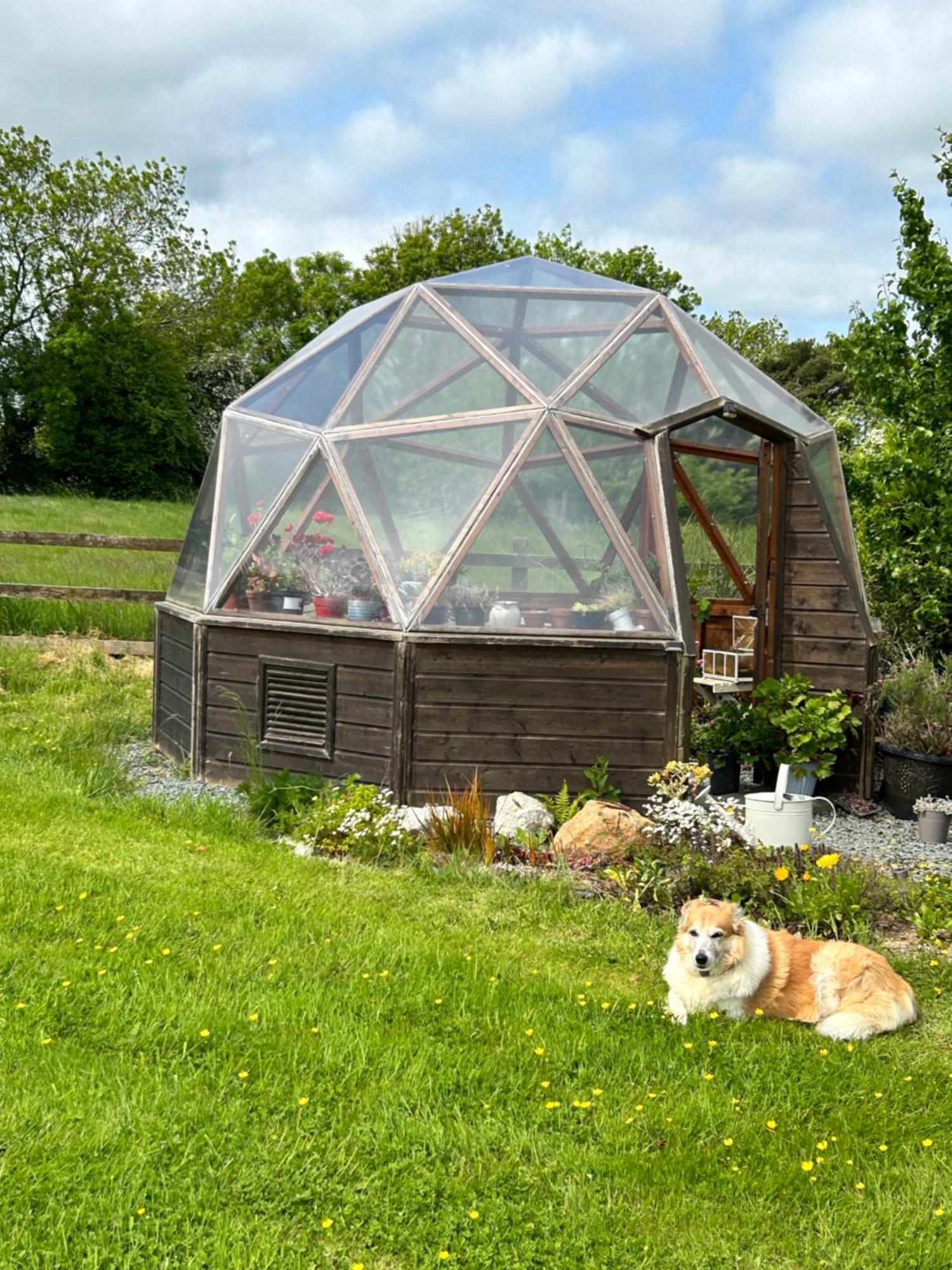 Ramsgrange Tobernaglough Wexford Pet Friendly Country B&B المظهر الخارجي الصورة