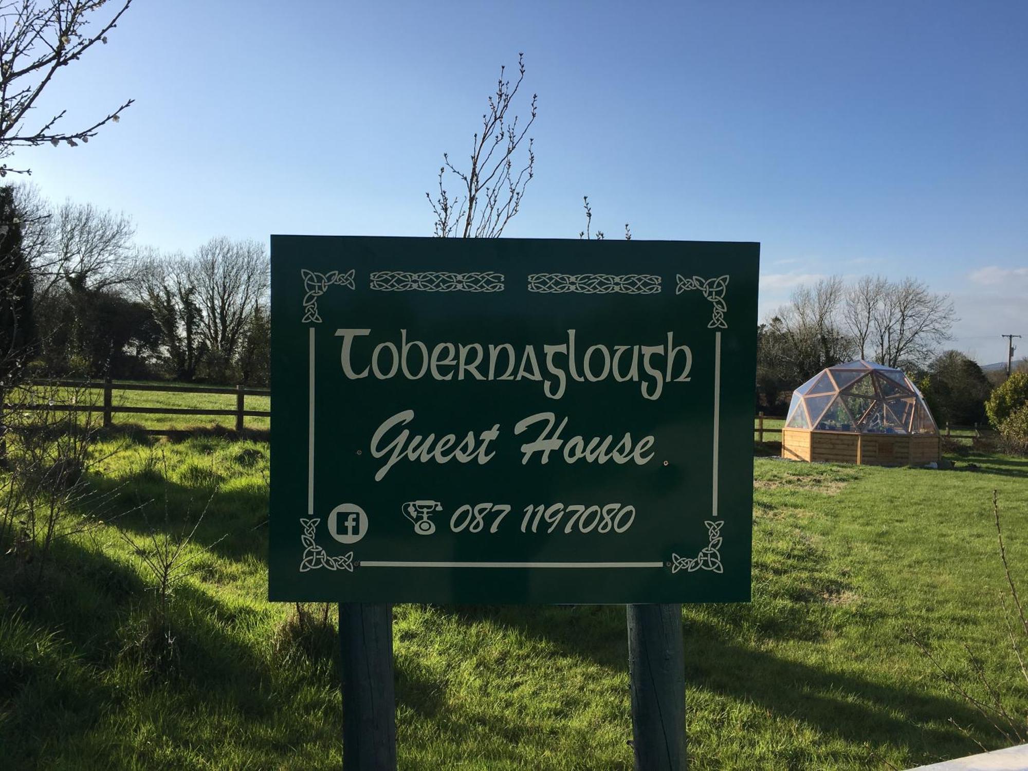 Ramsgrange Tobernaglough Wexford Pet Friendly Country B&B المظهر الخارجي الصورة