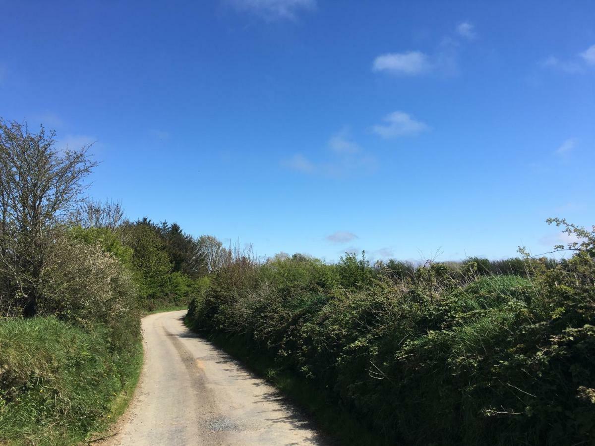 Ramsgrange Tobernaglough Wexford Pet Friendly Country B&B المظهر الخارجي الصورة