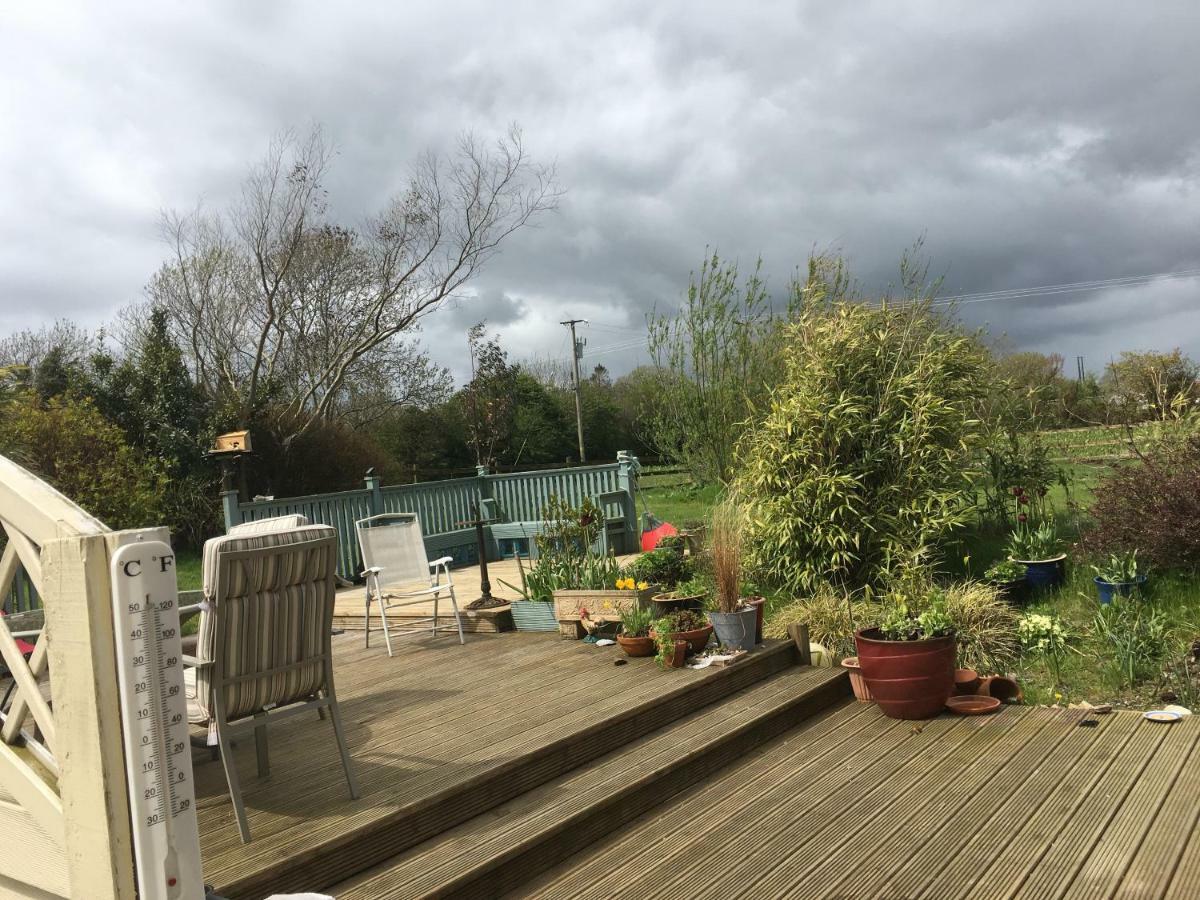 Ramsgrange Tobernaglough Wexford Pet Friendly Country B&B المظهر الخارجي الصورة