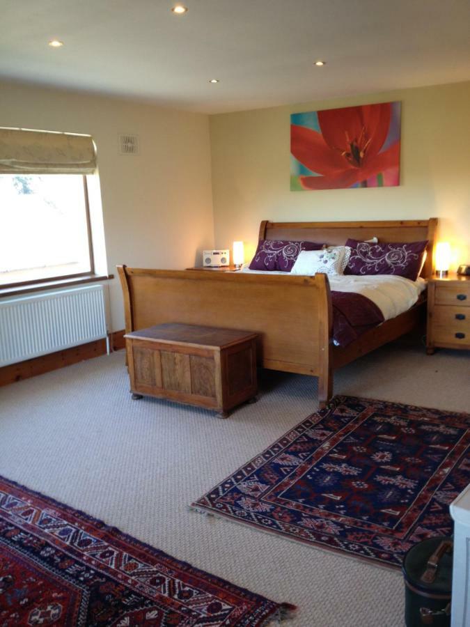 Ramsgrange Tobernaglough Wexford Pet Friendly Country B&B المظهر الخارجي الصورة