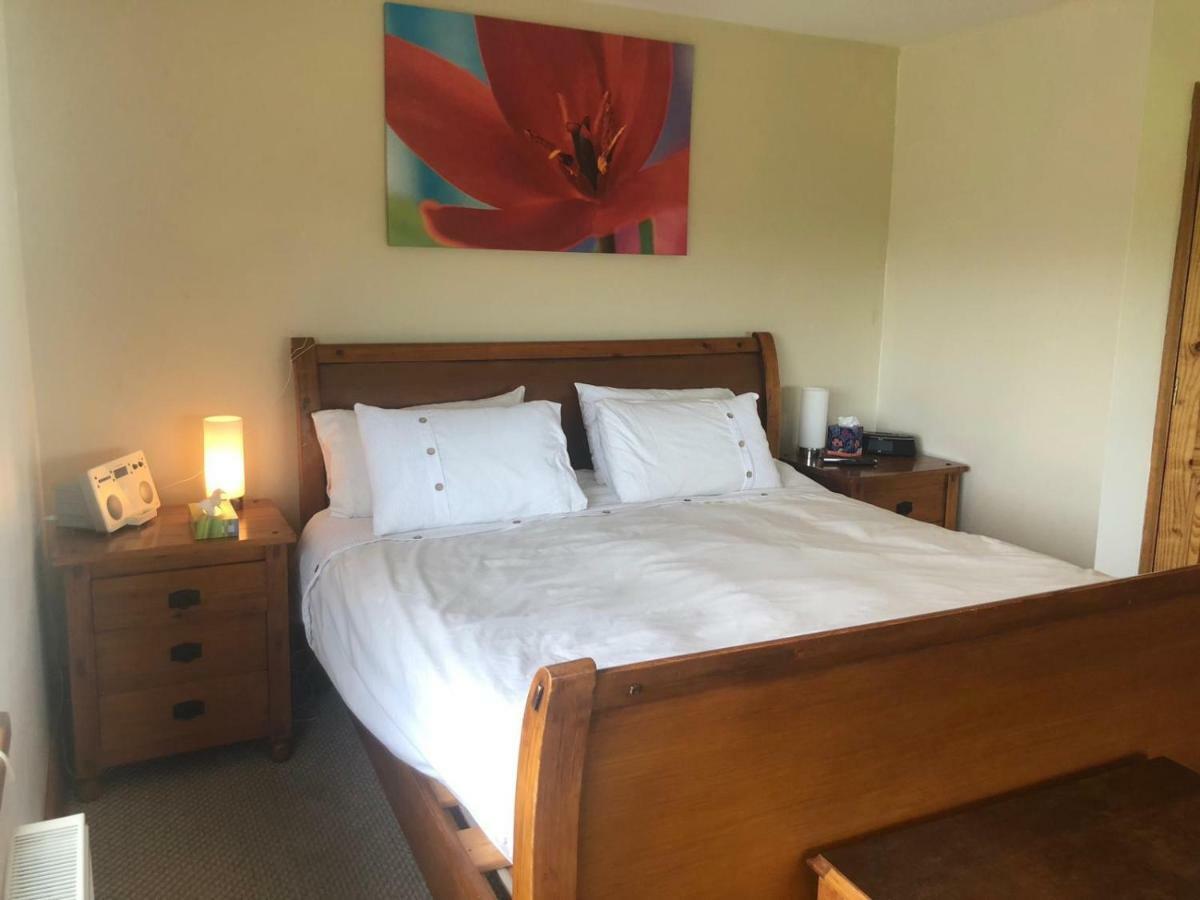 Ramsgrange Tobernaglough Wexford Pet Friendly Country B&B المظهر الخارجي الصورة