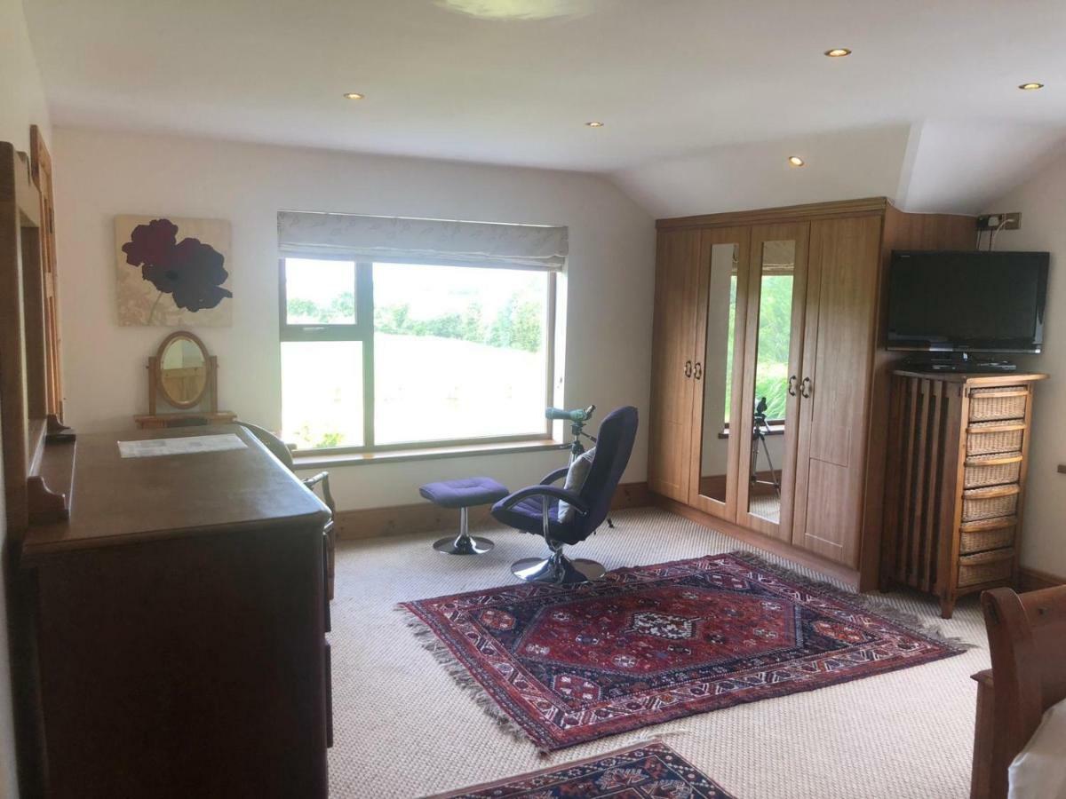 Ramsgrange Tobernaglough Wexford Pet Friendly Country B&B المظهر الخارجي الصورة