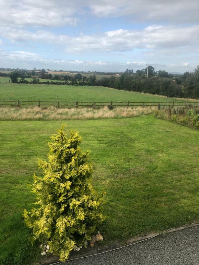 Ramsgrange Tobernaglough Wexford Pet Friendly Country B&B المظهر الخارجي الصورة