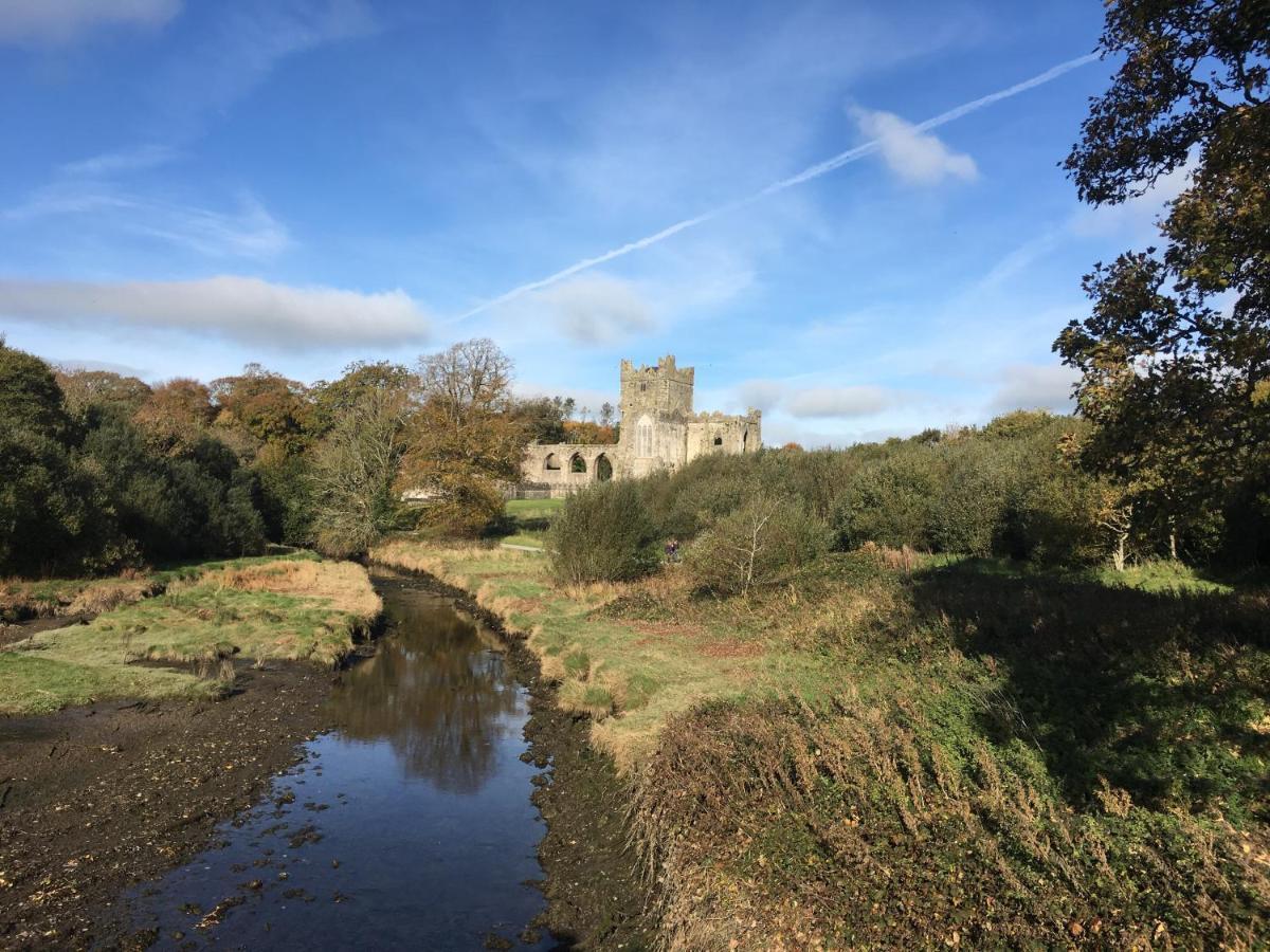 Ramsgrange Tobernaglough Wexford Pet Friendly Country B&B المظهر الخارجي الصورة