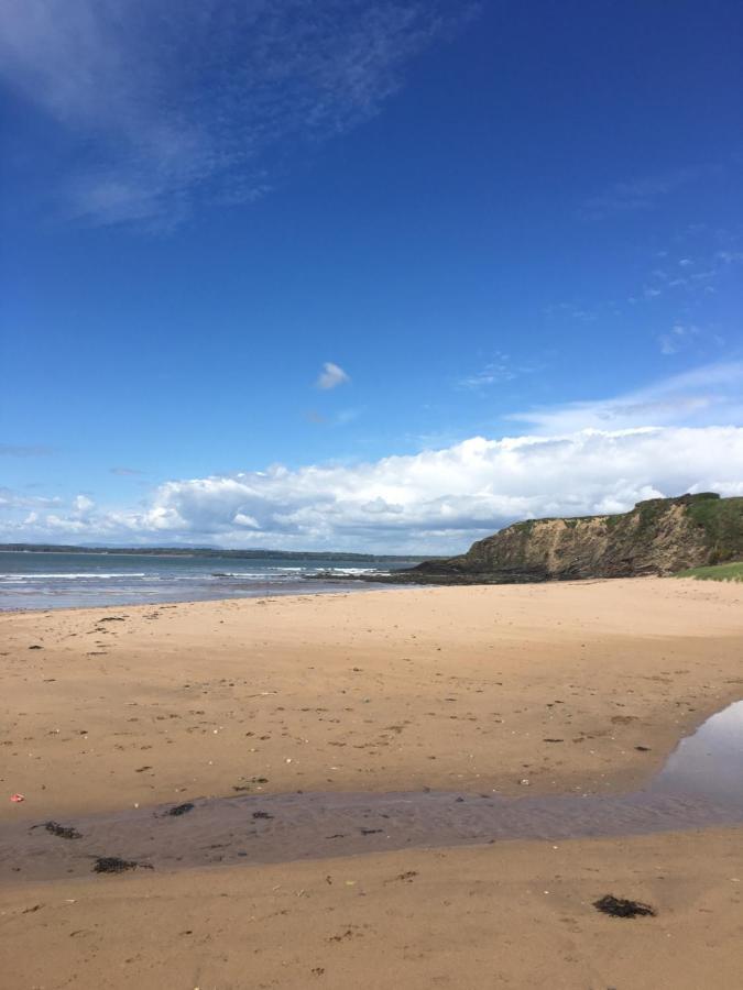 Ramsgrange Tobernaglough Wexford Pet Friendly Country B&B المظهر الخارجي الصورة