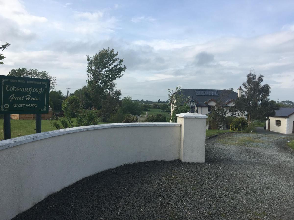 Ramsgrange Tobernaglough Wexford Pet Friendly Country B&B المظهر الخارجي الصورة