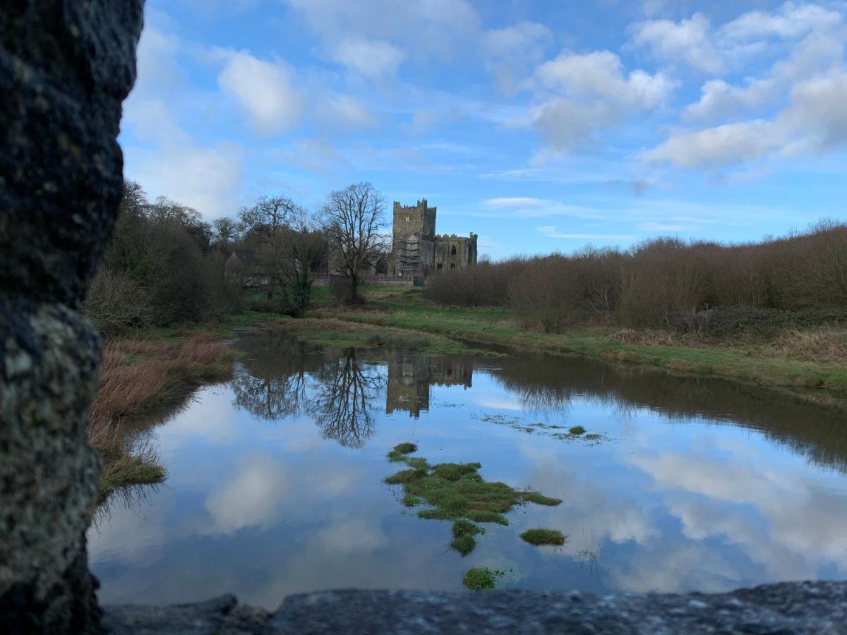Ramsgrange Tobernaglough Wexford Pet Friendly Country B&B المظهر الخارجي الصورة
